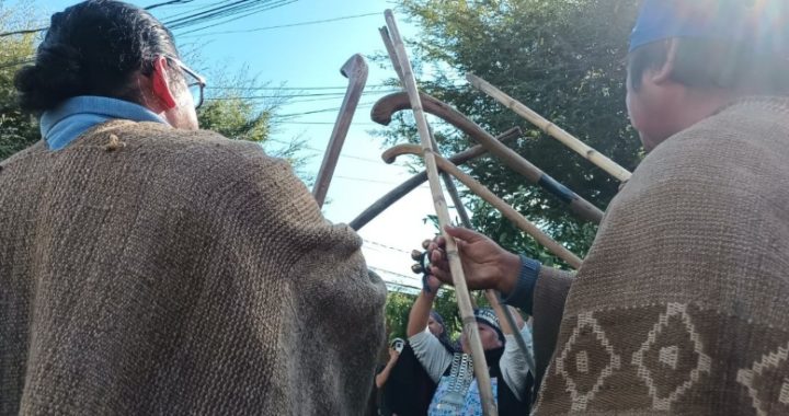 Usurpación o uso histórico: autoridades mapuche del Lof Kelwe en juicio